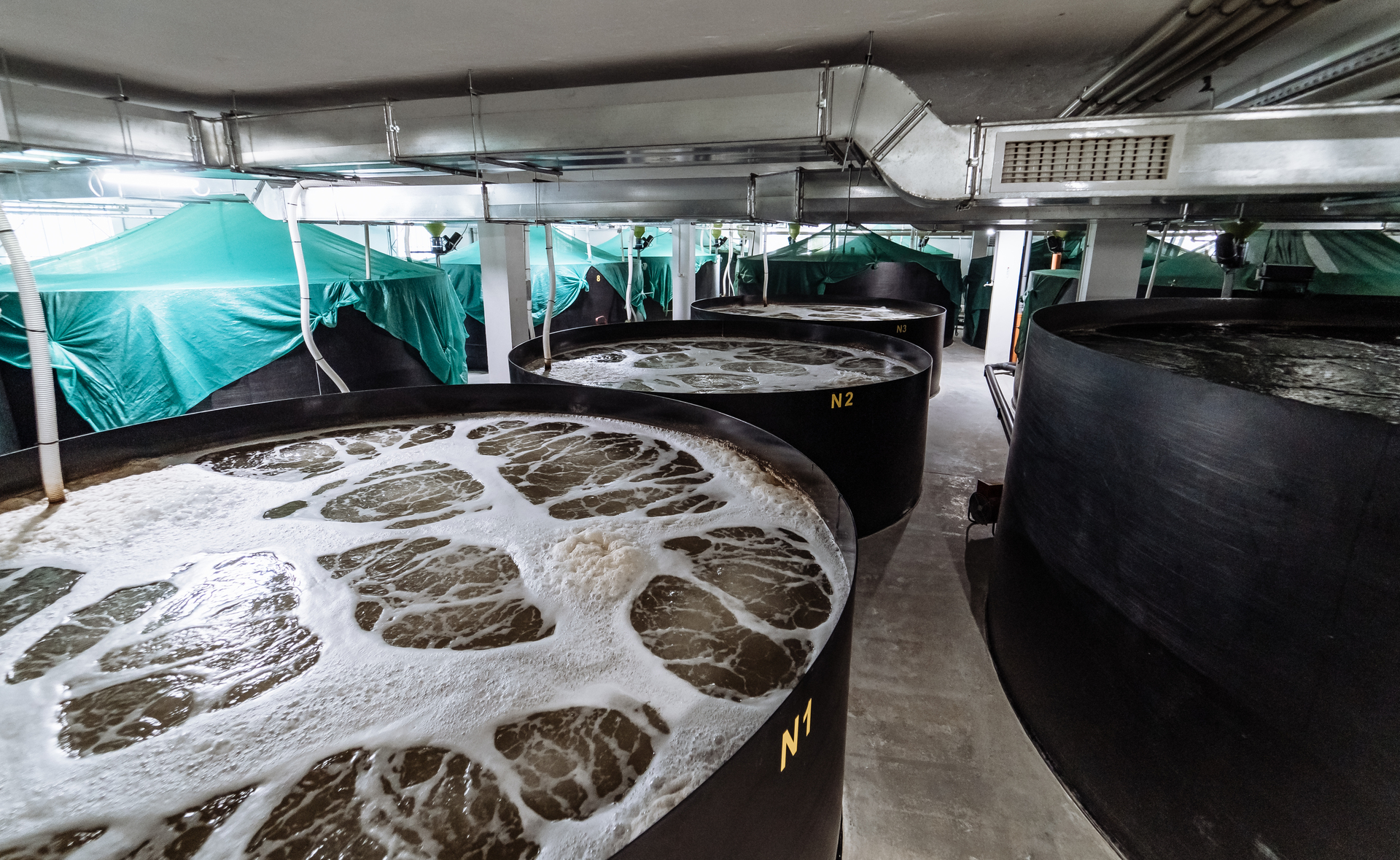 Typical shrimp farm that benefits from monitoring shrimp using a DolphinEar hydrophone.